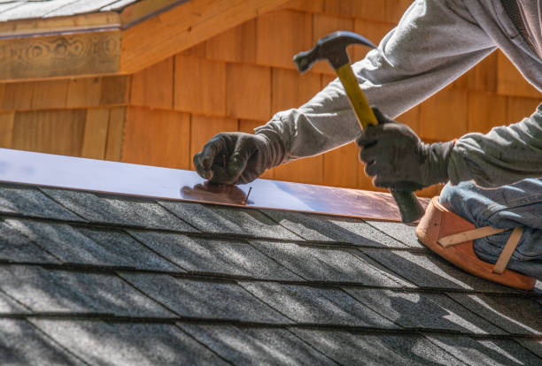 Best Solar Panel Roofing Installation  in Pineland, TX