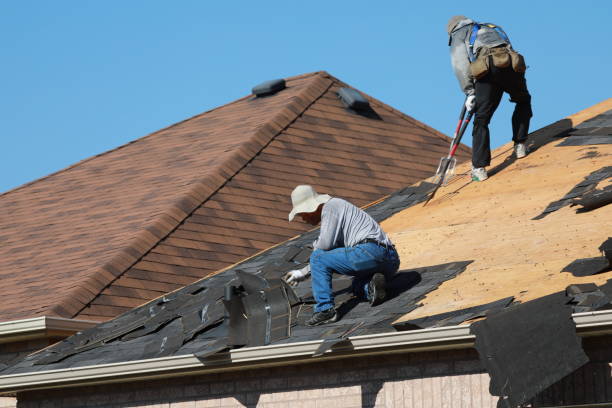 Skylights in Pineland, TX