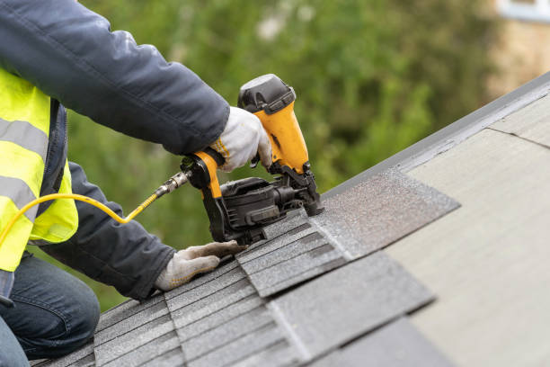 Best Roof Maintenance  in Pineland, TX