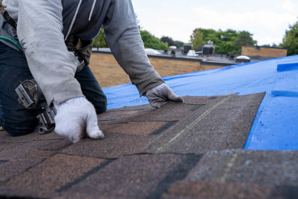 Best Chimney Flashing Repair  in Pineland, TX