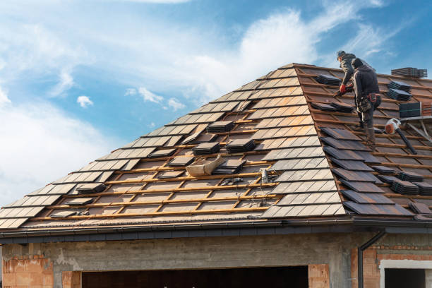 Best Sheet Metal Roofing  in Pineland, TX