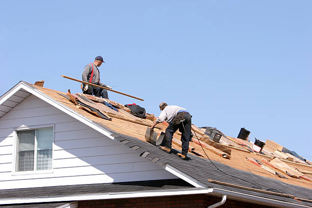 Best Hot Roofs  in Pineland, TX