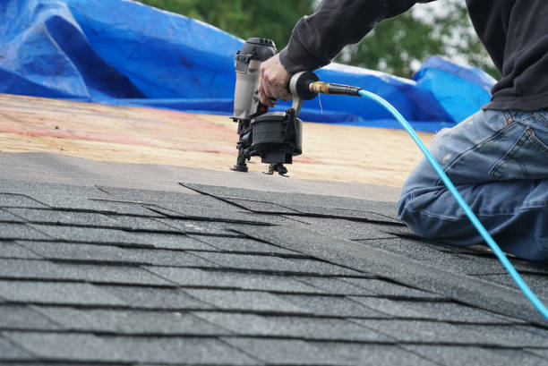 Best Rubber Roofing (EPDM, TPO)  in Pineland, TX