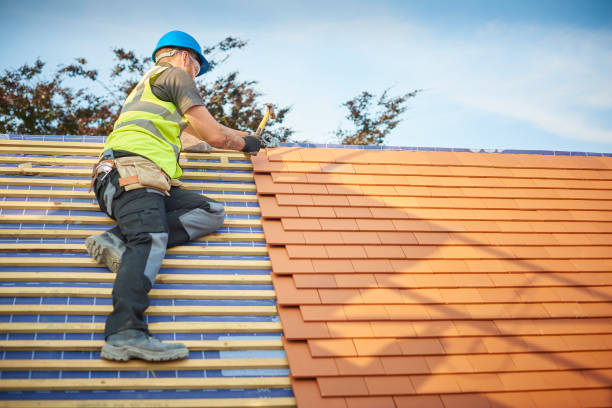 Best Skylight Installation and Repair  in Pineland, TX